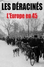 Poster de la película Les déracinés - L'Europe en 45