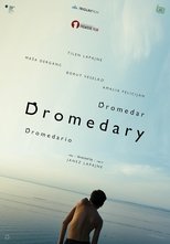 Poster de la película Dromedary