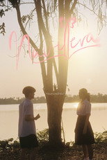 Poster de la película Navillera