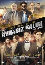 Poster de la película Aynasız Haluk