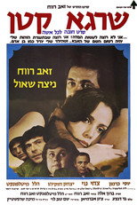 Poster de la película Little Man