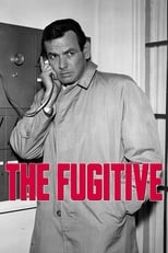Poster de la serie The Fugitive