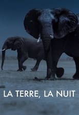 La Terre, La Nuit