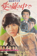 Poster de la película Inside the Storm of Love