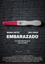 Poster de la película Embarazado