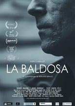Poster de la película La baldosa