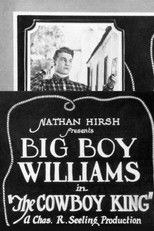 Poster de la película The Cowboy King