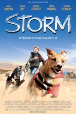 Poster de la película Storm