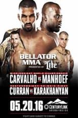 Poster de la película Bellator 155: Carvalho vs. Manhoef