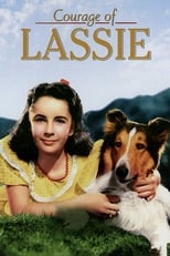 Poster de la película Courage of Lassie