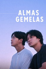 Poster de la serie Almas gemelas