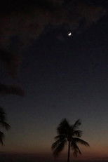 Poster de la película MEMORY IX Utopos/Dystopos