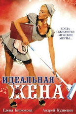 Poster de la película The Perfect Wife