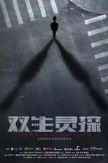 Poster de la película Twin Detective