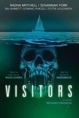 Poster de la película Visitors