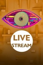 Big Brother: Live Stream