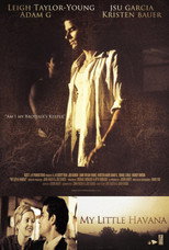 Poster de la película My Little Havana