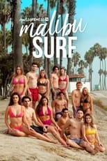 Poster de la serie Malibu Surf