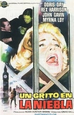 Poster de la película Un grito en la niebla