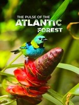 Poster de la película The Pulse of the Atlantic Forest