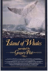 Poster de la película Island of Whales