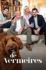 Poster de la serie De Vermeires