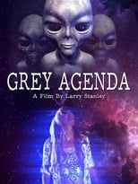 Poster de la película Grey Agenda