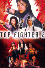 Poster de la película Top Fighter 2