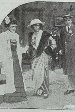 Poster de la película Mother-in-law in the Harem