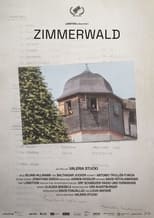 Poster de la película Zimmerwald