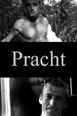 Poster de la película Pracht