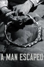 Poster de la película A Man Escaped