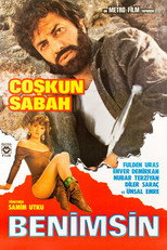 Poster de la película Benimsin