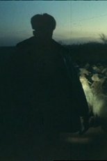 Poster de la película Black Ashes