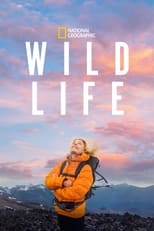 Poster de la película Wild Life