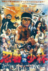 Poster de la serie 忍者決戰少林