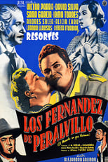 Poster de la película Los Fernández de Peralvillo