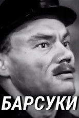 Poster de la serie Badgers