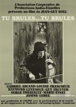 Poster de la película Tu brûles... tu brûles...