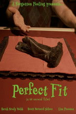 Poster de la película Perfect Fit
