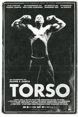Poster de la película Torso