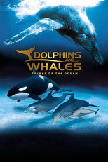 Poster de la película IMAX Dolphins and Whales: Tribes of the Ocean