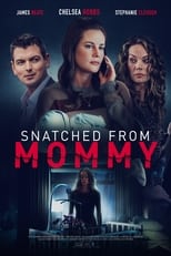Poster de la película Snatched from Mommy