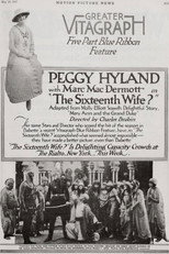 Poster de la película The Sixteenth Wife