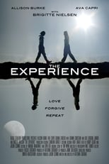 Poster de la película The Experience