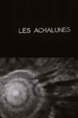 Poster de la película The Achalunés