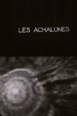 Poster de la película The Achalunés