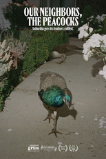 Poster de la película Our Neighbors, the Peacocks