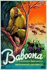 Poster de la película Baboona