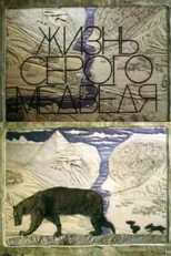 Poster de la película The Life Of A Grey Bear